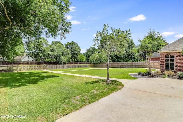 view of yard with a patio