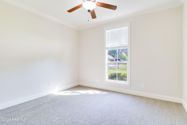 unfurnished room featuring ornamental molding, carpet flooring, and ceiling fan