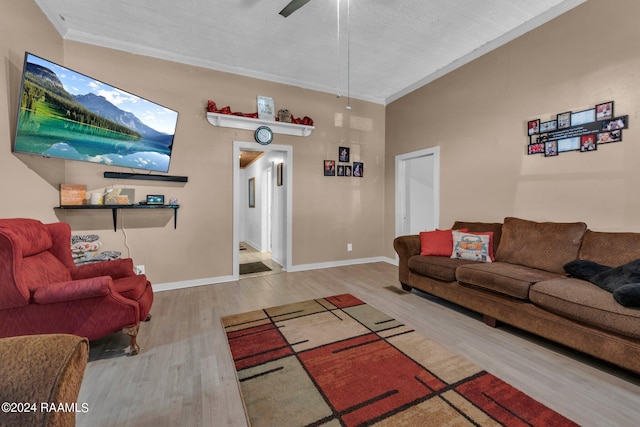 living room featuring ornamental molding, hardwood / wood-style floors, and a textured ceiling