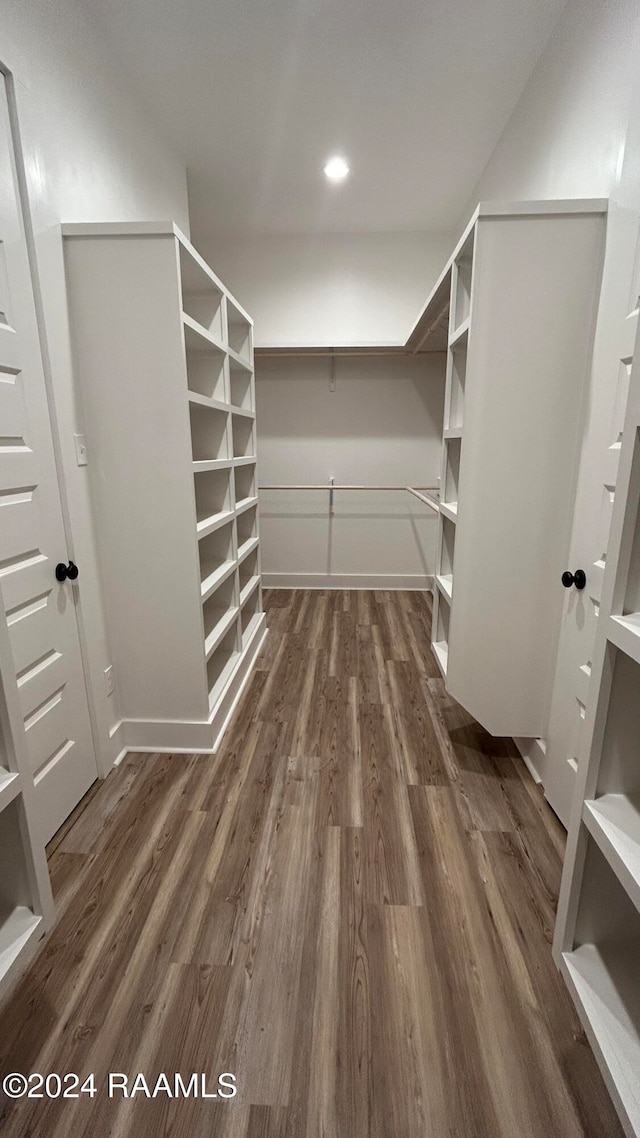 walk in closet featuring dark hardwood / wood-style floors