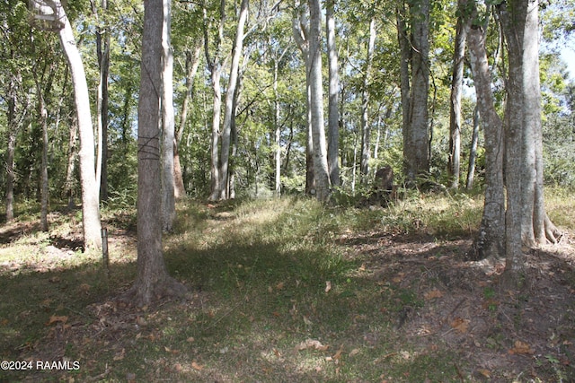 620 S Wilderness Trl, Lafayette, LA 70507