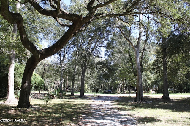 620 S Wilderness Trl, Lafayette, LA 70507