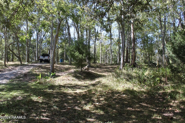 620 S Wilderness Trl, Lafayette, LA 70507
