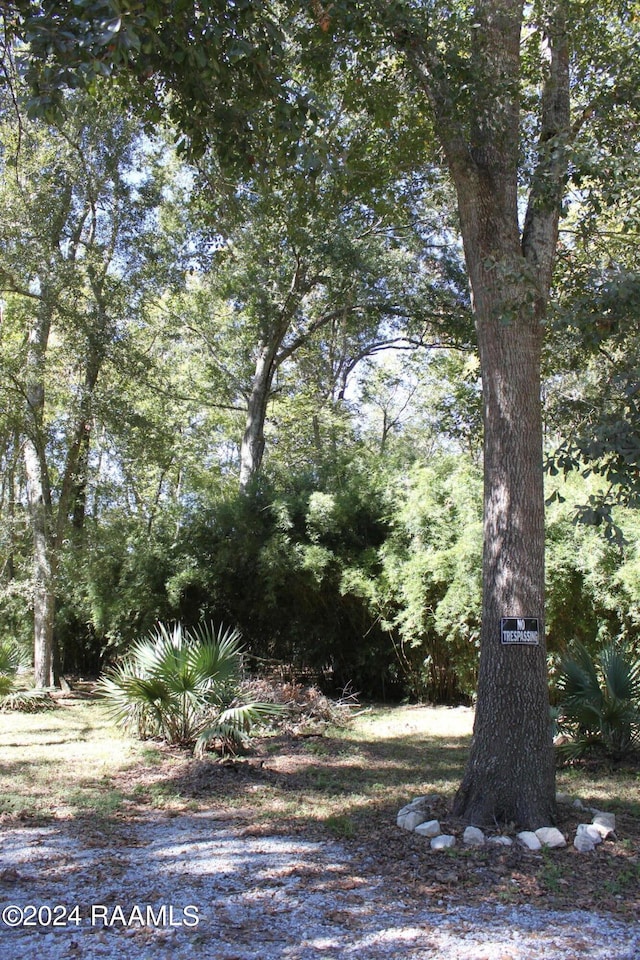 620 S Wilderness Trl, Lafayette, LA 70507