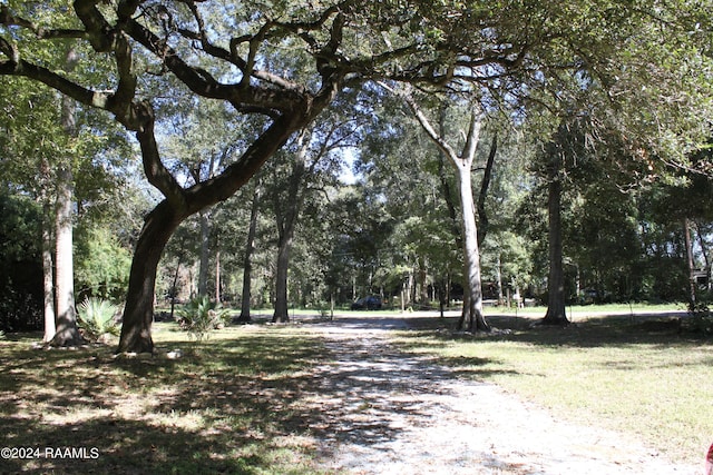 620 S Wilderness Trl, Lafayette, LA 70507