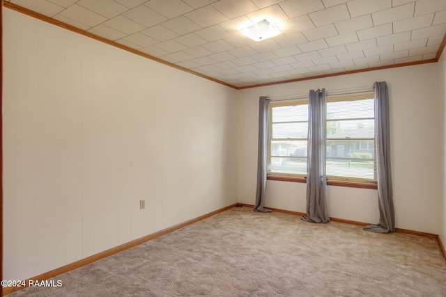 carpeted empty room featuring crown molding