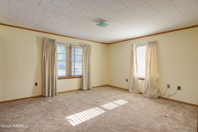 empty room featuring crown molding and light colored carpet