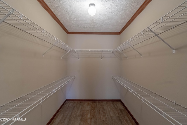 walk in closet featuring wood-type flooring