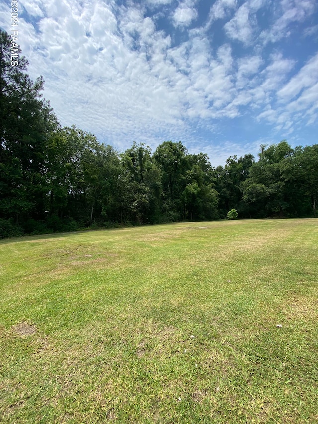 1228 Herman Dupuis Rd, Butte La Rose LA, 70517 land for sale