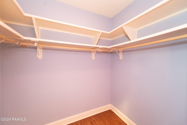 spacious closet featuring wood-type flooring