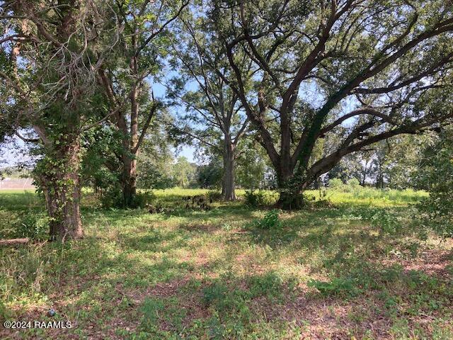 2 Rena Rd, Eunice LA, 70535 land for sale