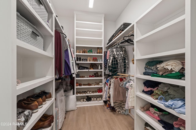 walk in closet with light hardwood / wood-style floors