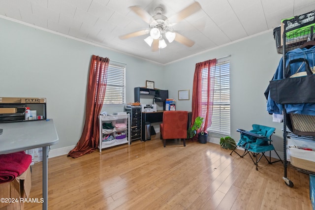 home office featuring crown molding, light wood-type flooring, and ceiling fan