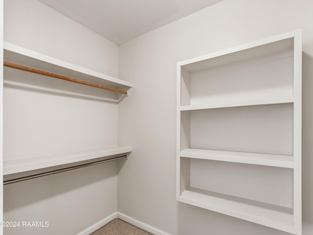 walk in closet featuring carpet floors