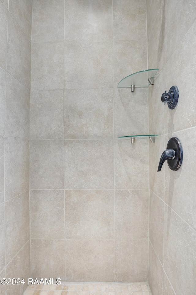 room details with tiled shower