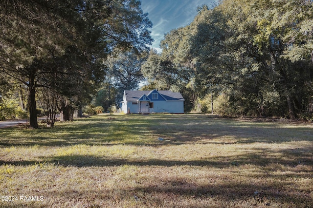 404 W Hickory St, Ville Platte, LA 70586 - view of green lawn