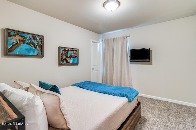 bedroom featuring carpet floors