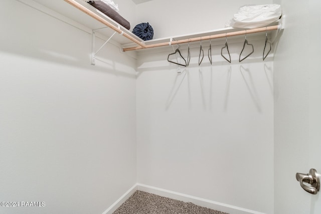 spacious closet with carpet flooring