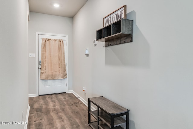 entryway with wood-type flooring