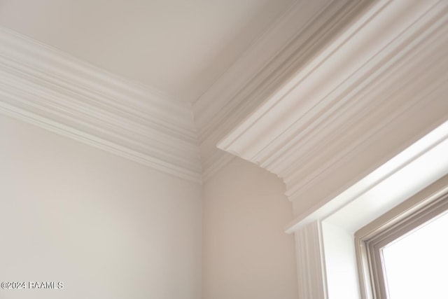 room details featuring crown molding