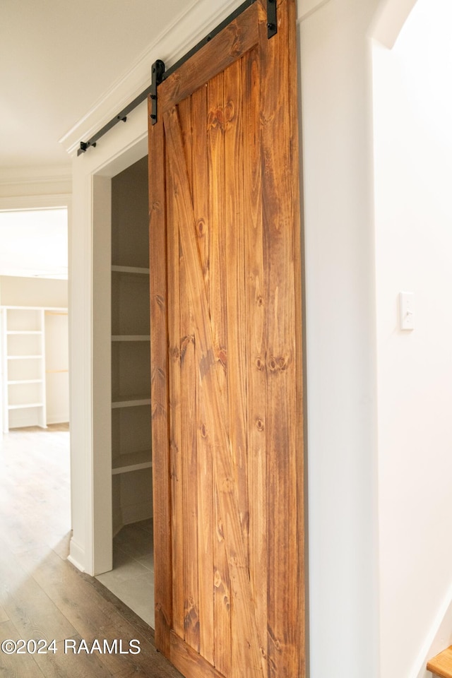 view of closet