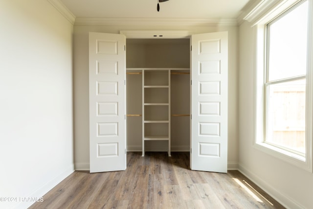 view of closet