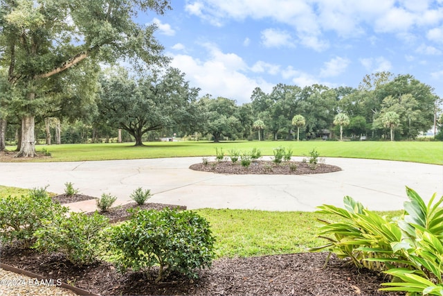 view of property's community with a yard