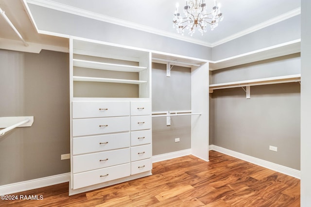 spacious closet featuring hardwood / wood-style floors