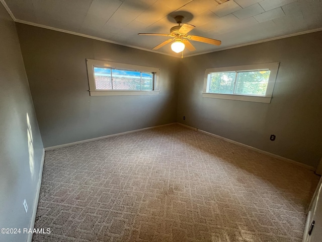 empty room featuring ceiling fan, ornamental molding, and carpet floors