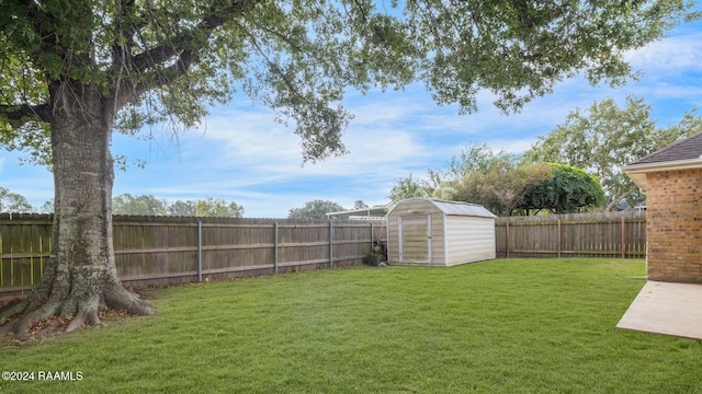 view of yard with a shed