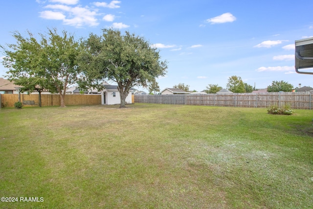 view of yard with a shed