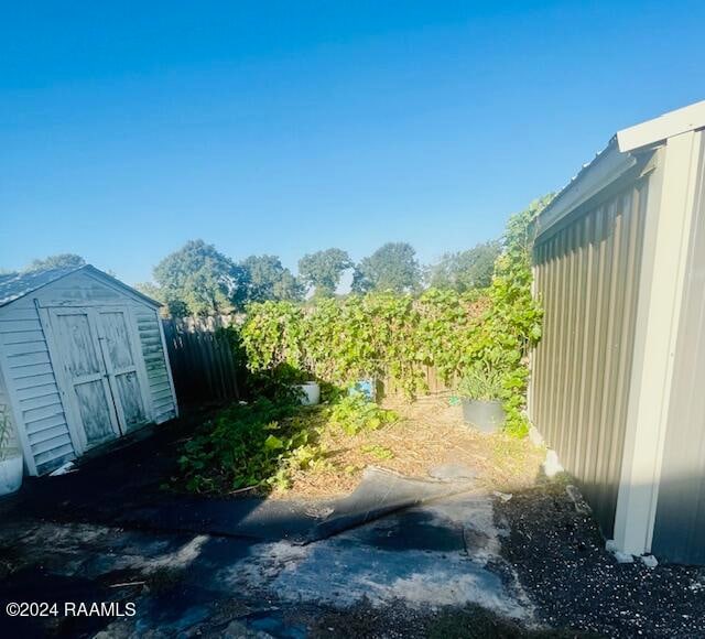 view of yard with a storage unit