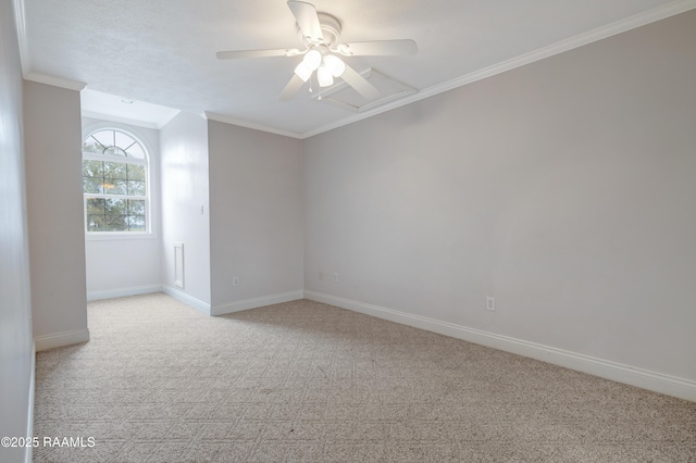 carpeted spare room with ceiling fan and ornamental molding