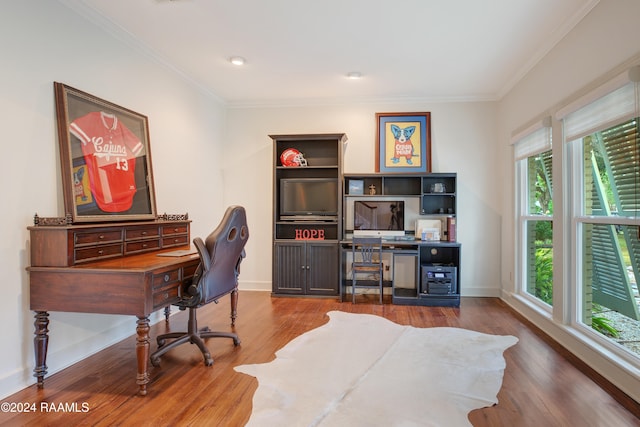 office space with ornamental molding, a wealth of natural light, and hardwood / wood-style floors