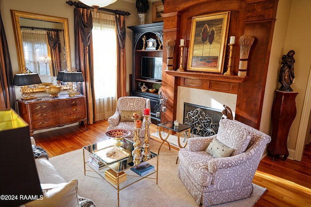 living area featuring wood finished floors and a fireplace