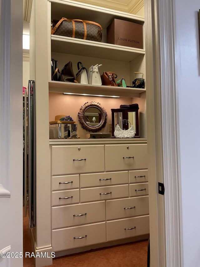 303 Sawgrass Ln, Broussard, LA 70518 - view of closet