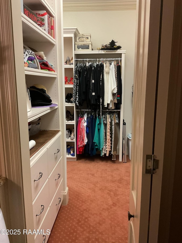 303 Sawgrass Ln, Broussard, LA 70518 - walk in closet with carpet flooring