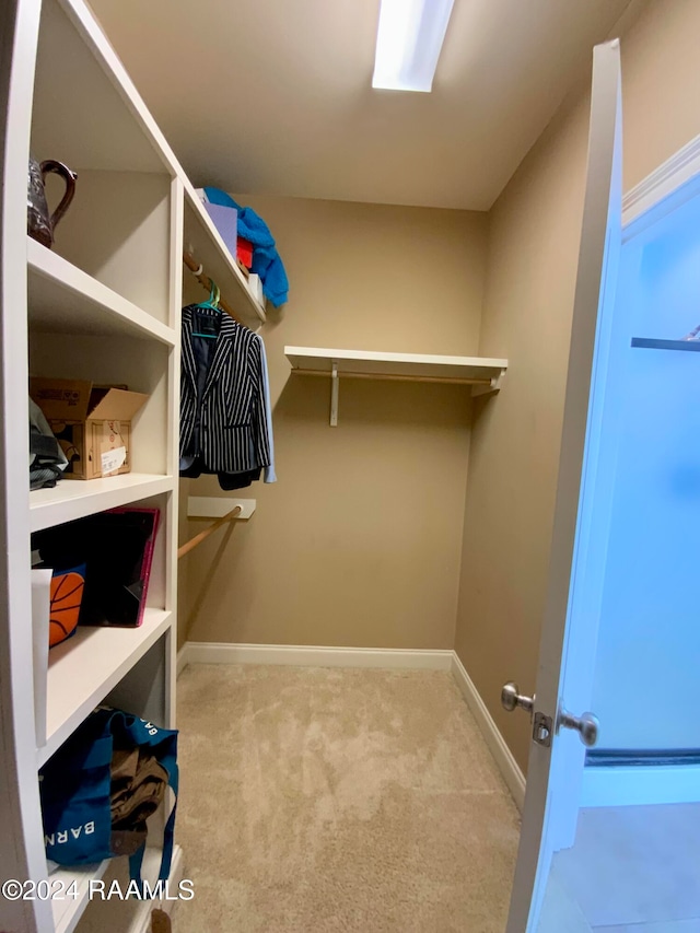 spacious closet featuring light colored carpet