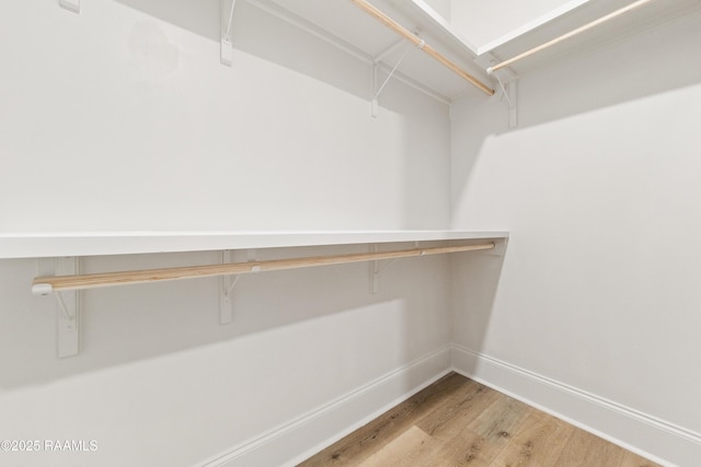 spacious closet featuring wood finished floors