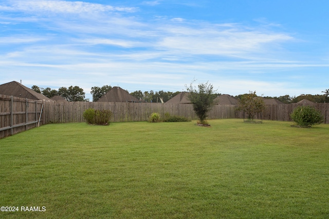 view of yard