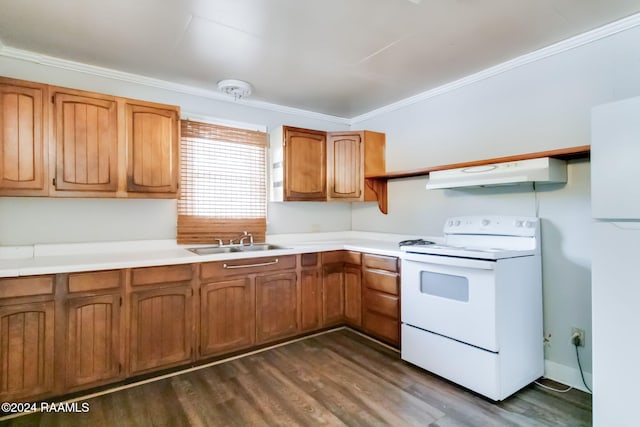 kitchen with dark hardwood / wood-style flooring, range hood, sink, crown molding, and white appliances