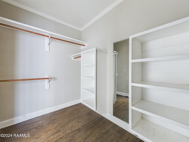 spacious closet with dark hardwood / wood-style floors