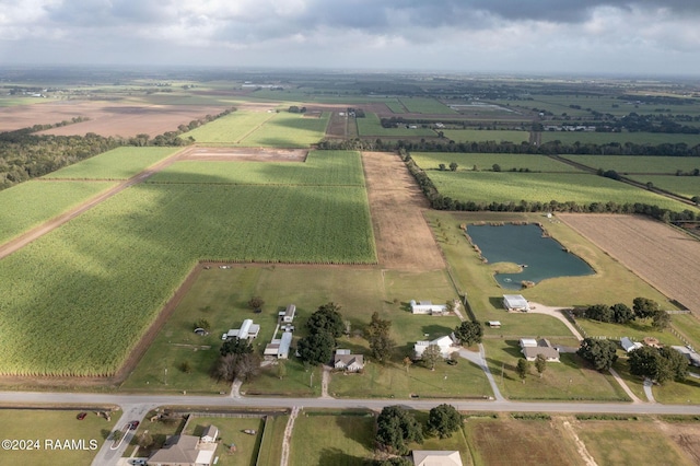 Tbd La Highway 699, Maurice, LA 70555
