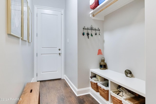 mudroom featuring dark wood-type flooring