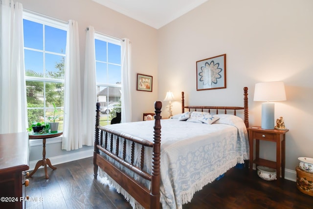 bedroom featuring multiple windows and dark hardwood / wood-style flooring