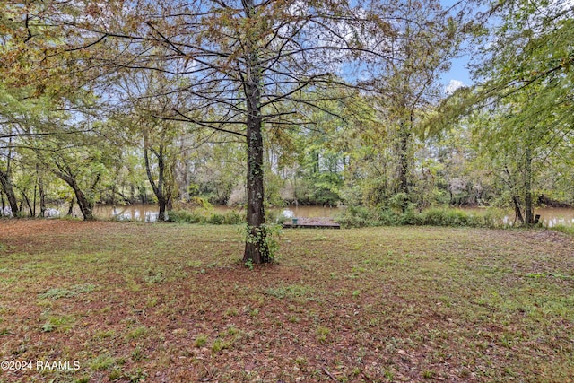 view of yard featuring a water view