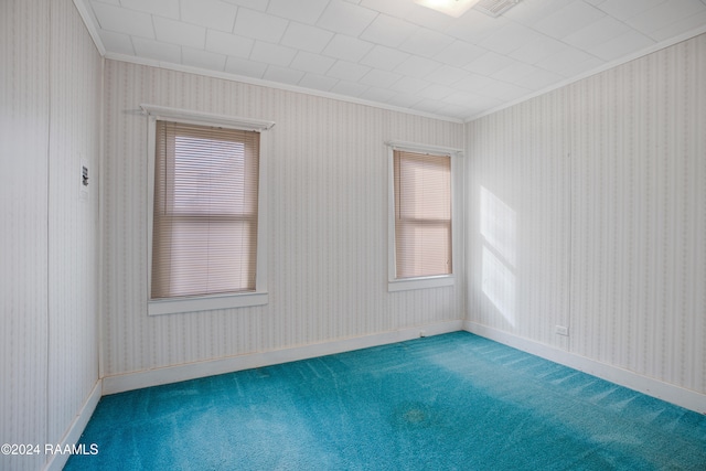 empty room with carpet and crown molding