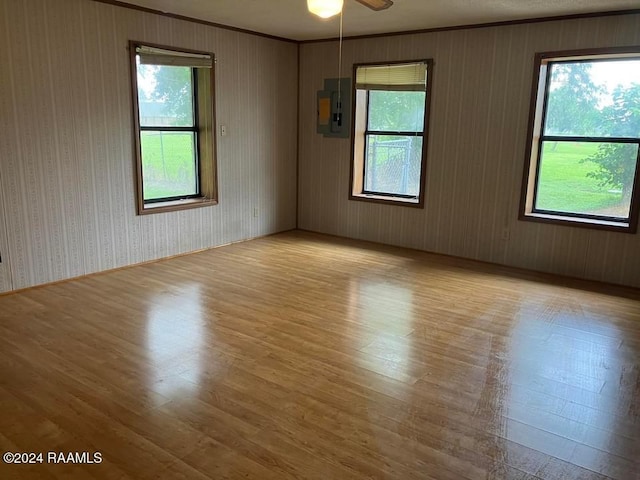 unfurnished room with light wood-type flooring, electric panel, ceiling fan, and ornamental molding