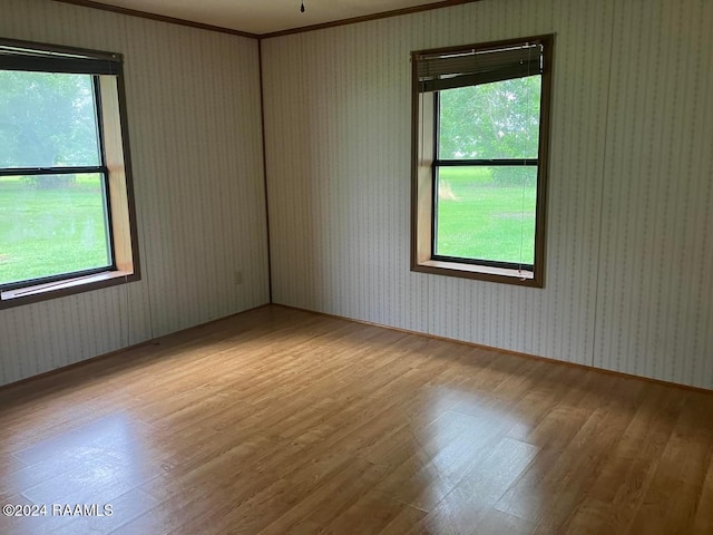 empty room featuring light hardwood / wood-style flooring, plenty of natural light, and ornamental molding