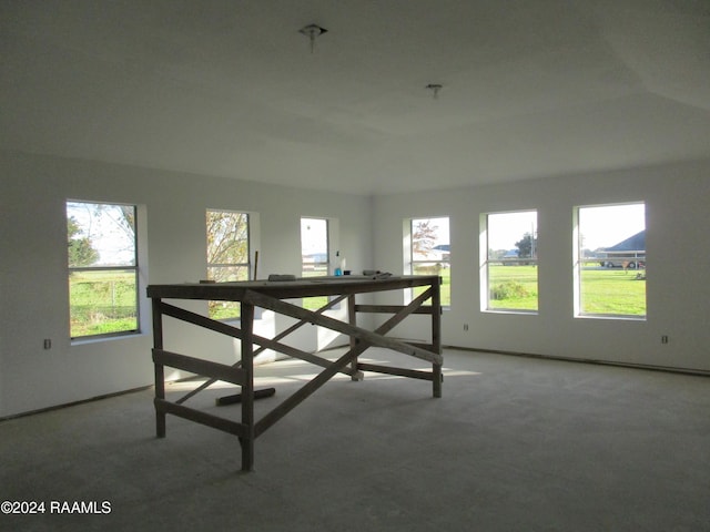 interior space with a wealth of natural light